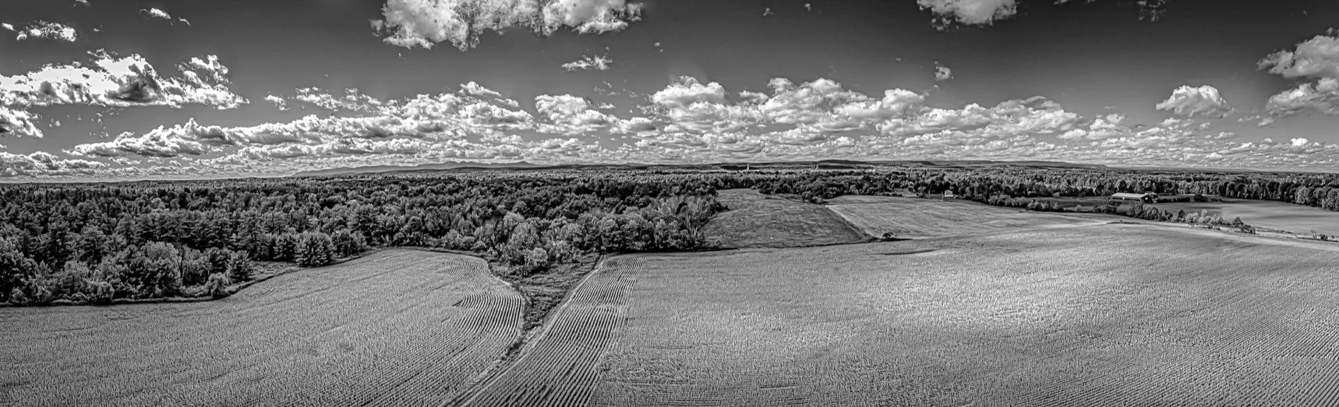 Delta Flatlands, B&W