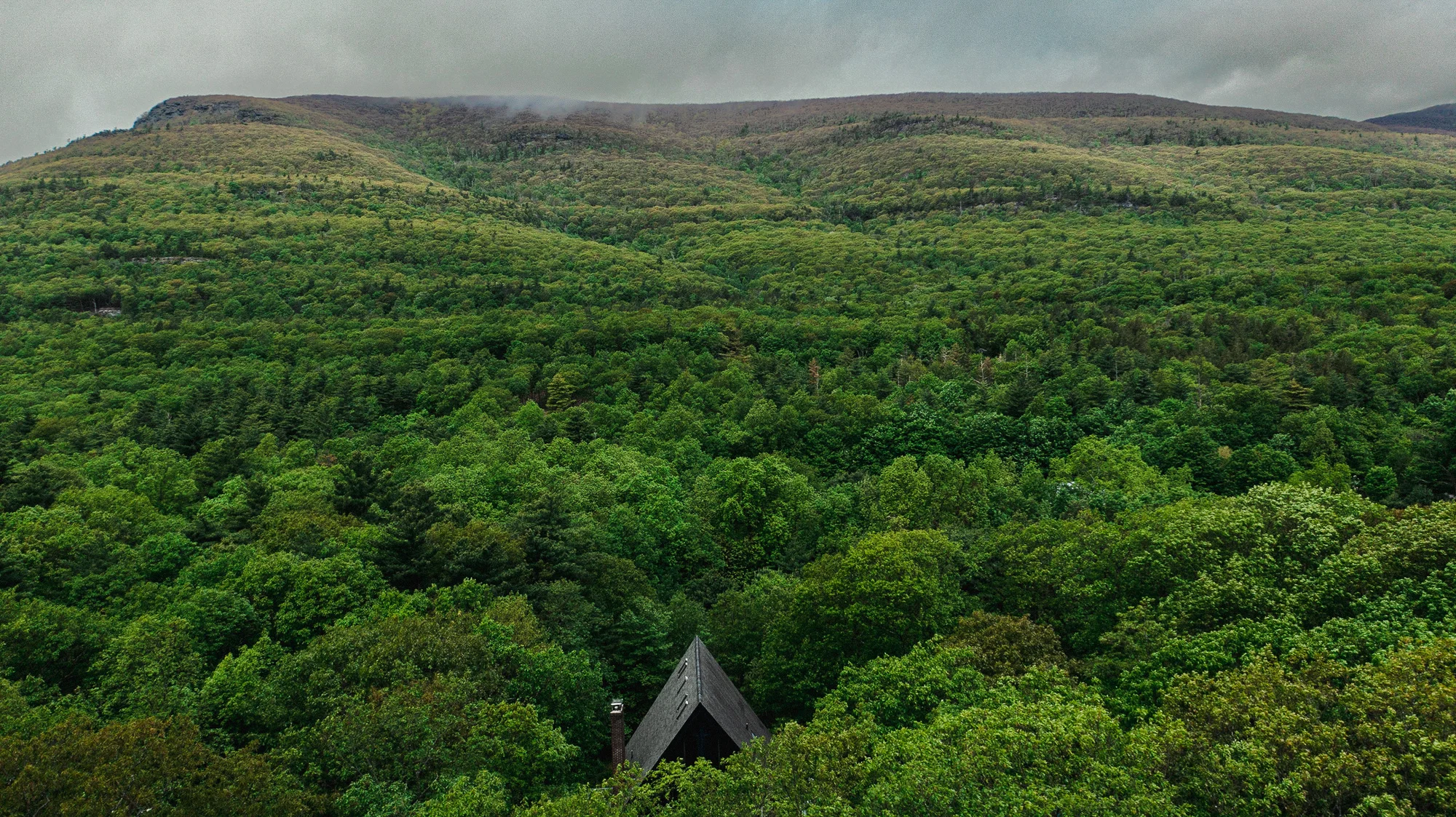 A-Frame in the Canopy