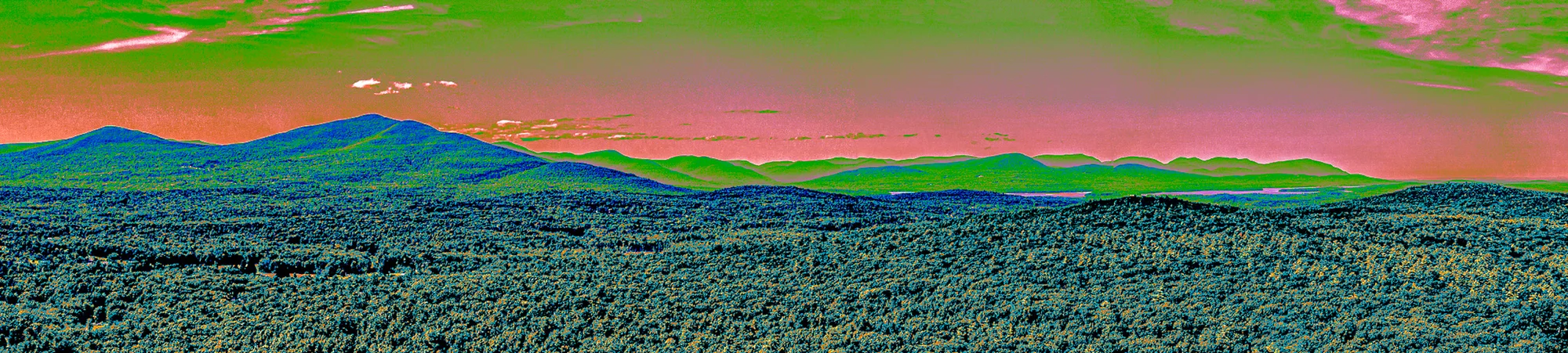 Catskills, Processed