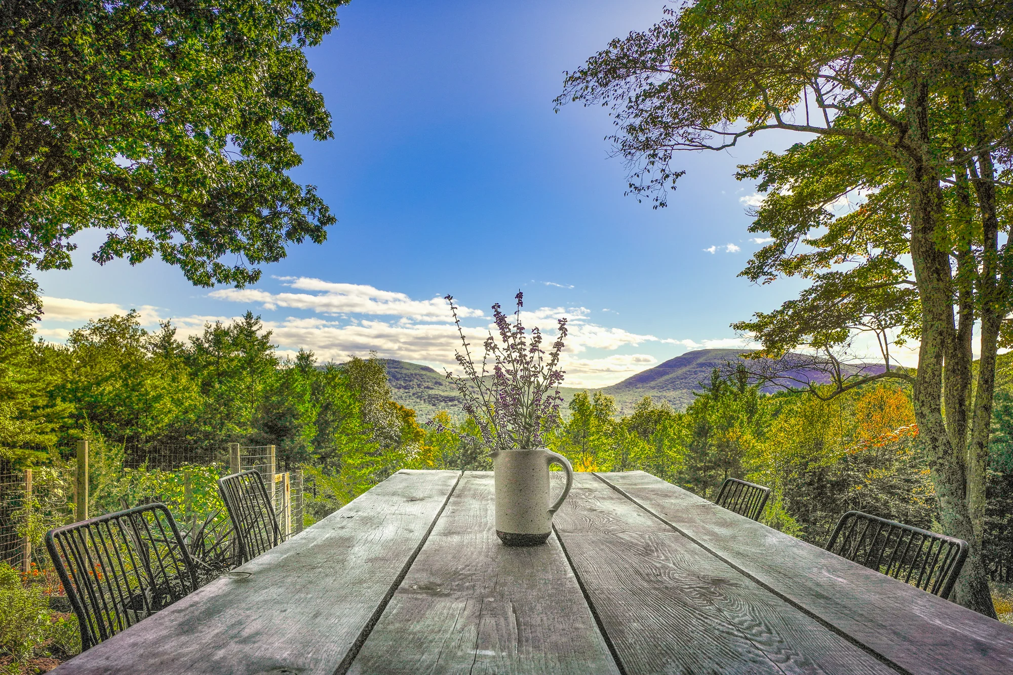 Cricket Ridge, the Table